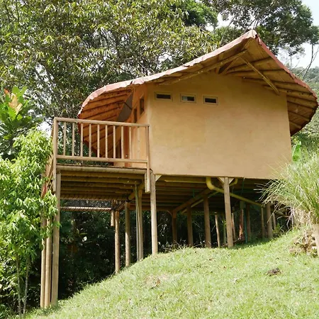 La Perla Negra - Black Pearl Eco Hostel-2
