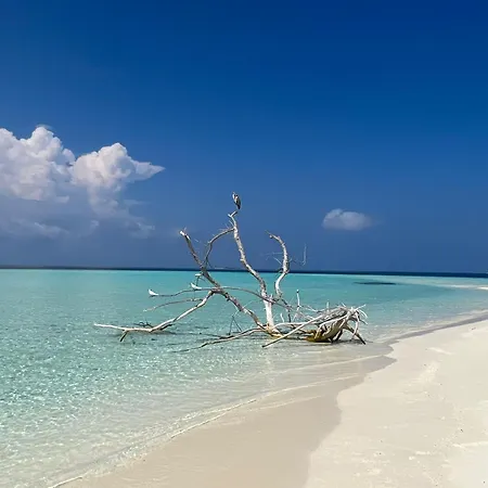Asia Inn Maldives-2