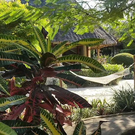 Marafiki Bungalows-3