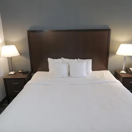 Baymont By Wyndham Flint Airport North-2