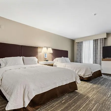 Hampton Inn & Suites Colorado Springs-Air Force Academy/I-25 North-3
