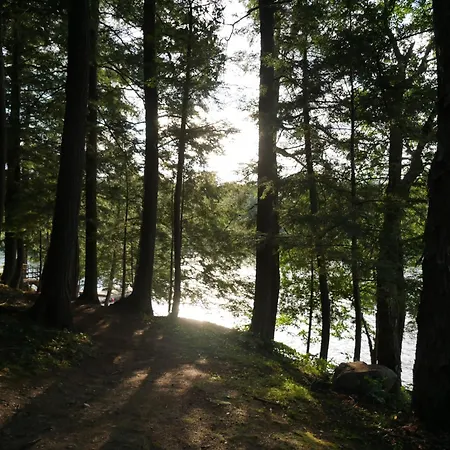 Walker Lake Resort-3