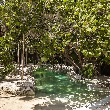 Niken Beachfront Tulum Hotel-2