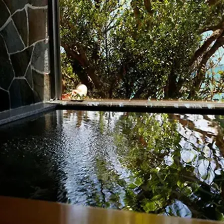 Hyakunagaran-2
