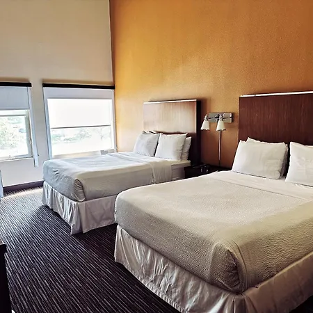 Four Points By Sheraton Buffalo Grove-2