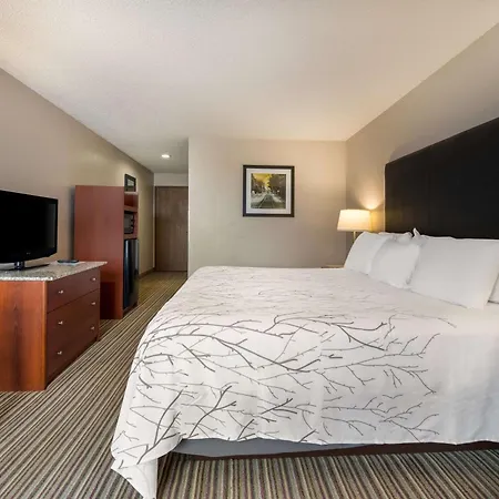 Best Western Park Oasis Inn-2