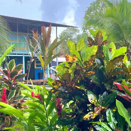 TORTUGA BAY Eco Hotel-2