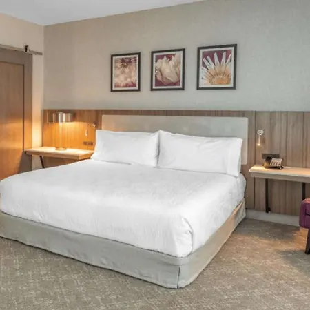 Hilton Garden Inn Boston Logan Airport-2