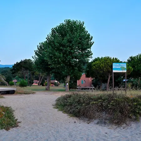 Pinea Mare-3