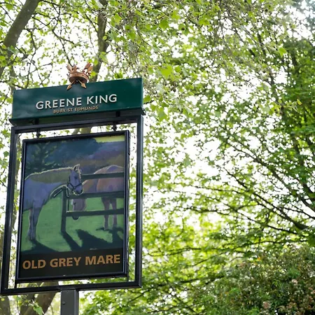 Old Grey Mare Inn By Greene King Inns-3