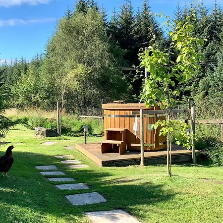 Ewich House B&B-3