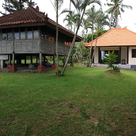 Gajah Mina Beach Resort-2