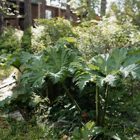 Ruby Lake Resort-2
