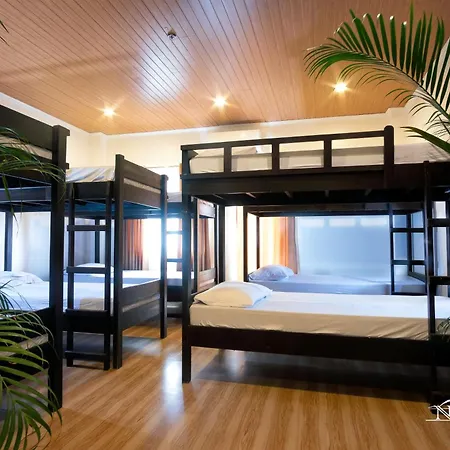 Nest Resort-3