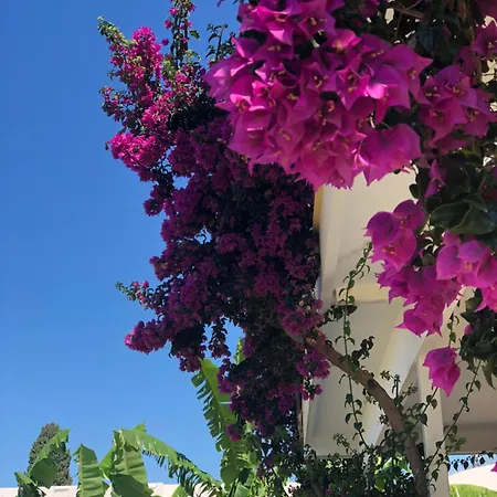 Hotel Jon-3