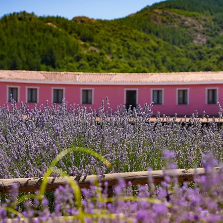 HOTEL ORLANDO Sardegna-2