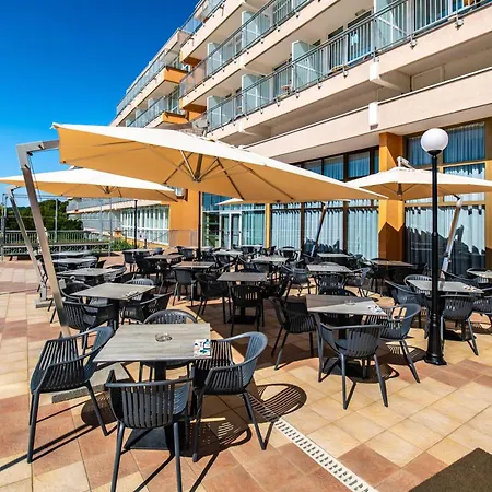 Arena Hotel Holiday-3