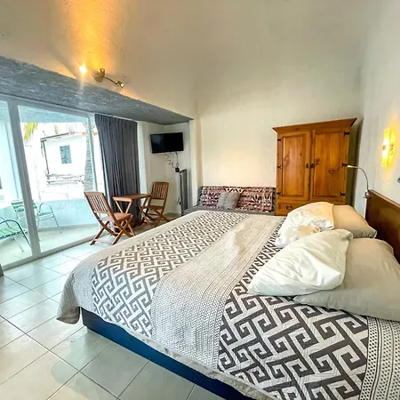 Hotel Allende-2