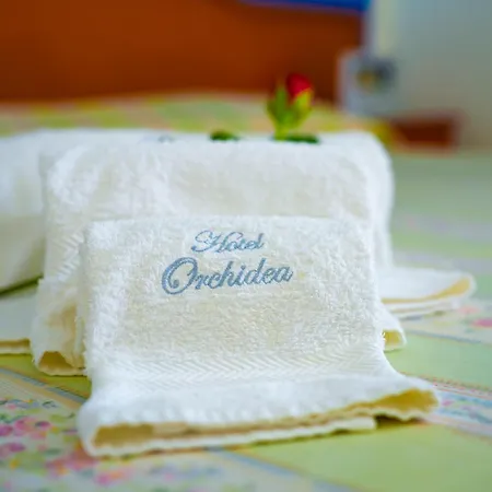 Hotel Orchidea-3