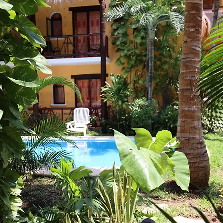 Hotel Bosque Caribe, 5Th Av. Zone-3
