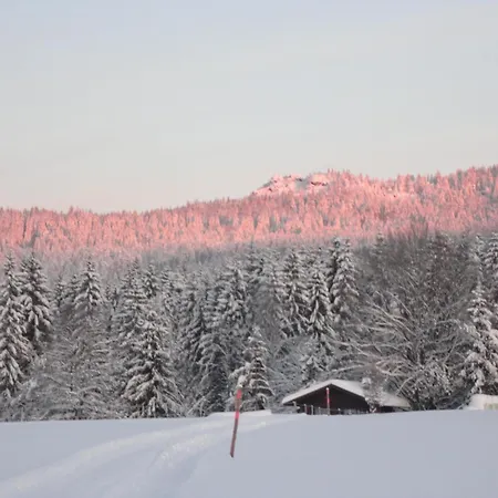 Landgasthof Brandtner Wirt-2
