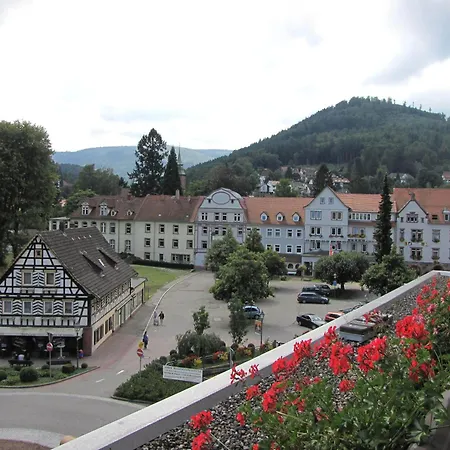 Hotel Harzer am Kurpark-2