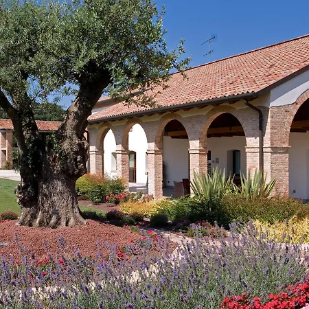 Annia Park Hotel Venice Airport-3