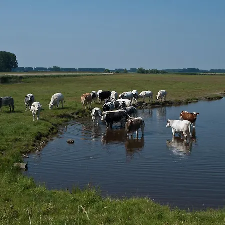De Eenhoorn-2