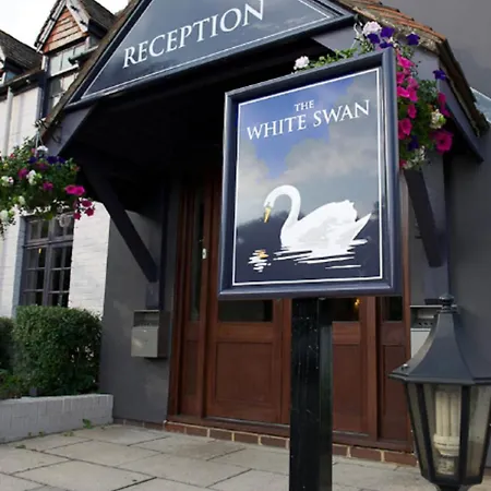 The White Swan-2