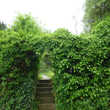 Chequers Hotel-2