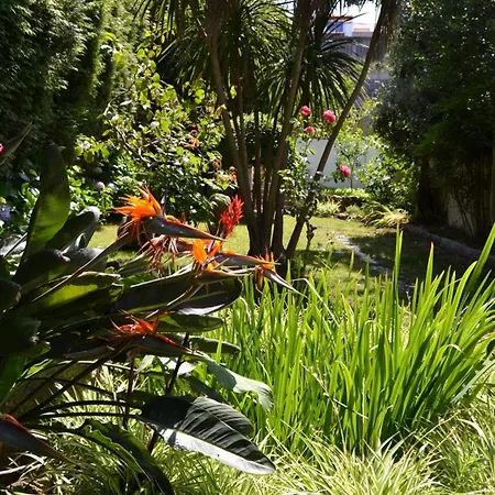 Hotel Amandi-3