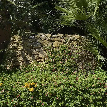 Hotel Oasis-3