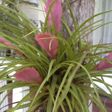 St. Lucia Wetlands Guest House-2
