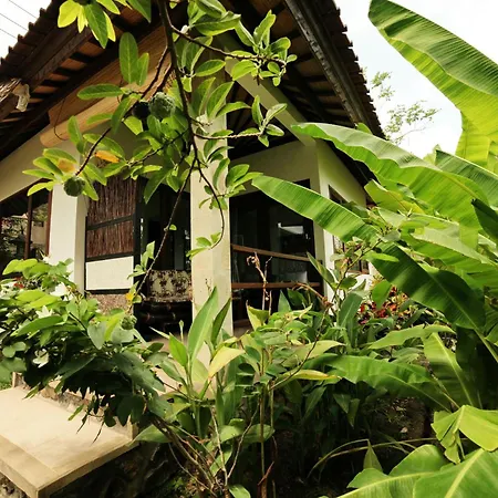 Bali Dream House-3