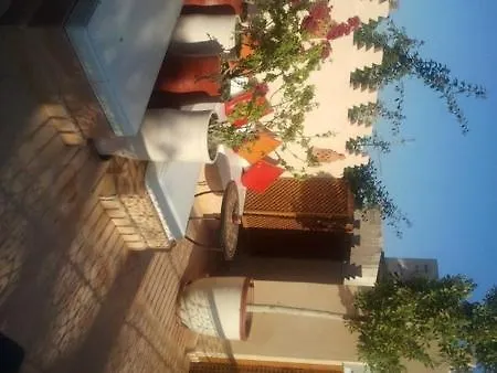 Riad Rabahsadia-3