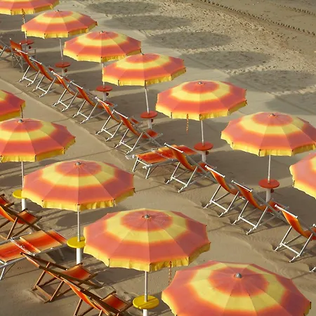 Hotel il Delfino-2