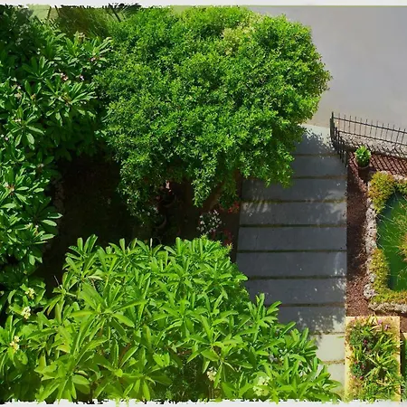 Lirma B&B-3