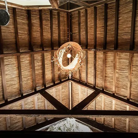 The Beach House Ocam Ocam-3