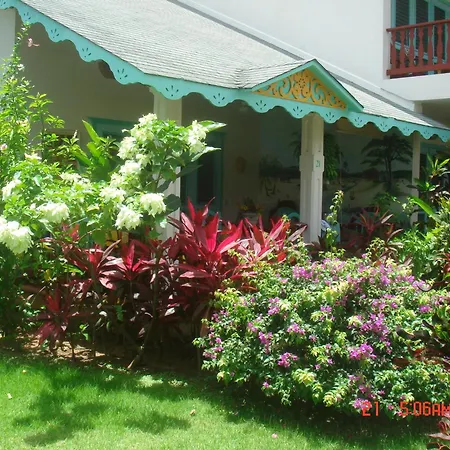 Hotel Playa Colibri-3