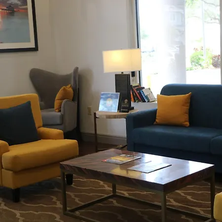 Comfort Suites Clearwater - Dunedin-2