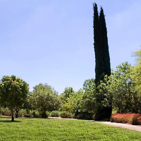 Nes Ammim Hotel-2