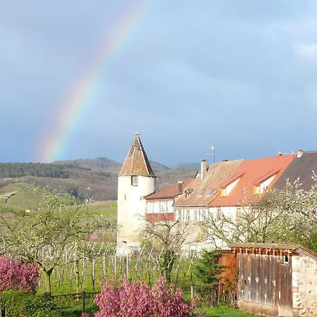 Hotel Munsch Restaurant & Wellness, Colmar Nord - Haut-Koenigsbourg-2