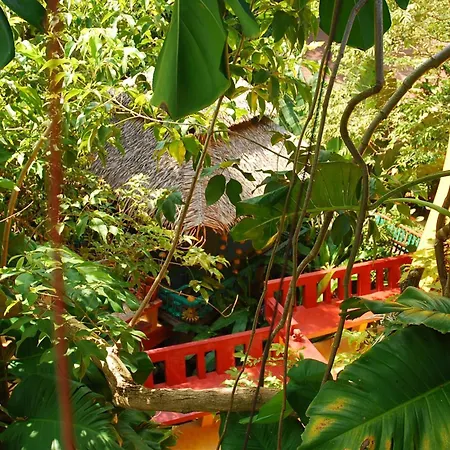 Varinda Resort-2