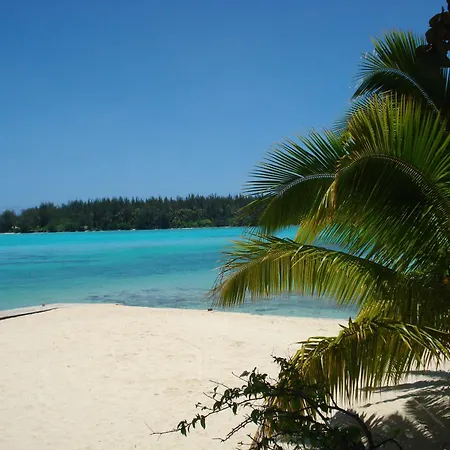 Hotel Hibiscus-2