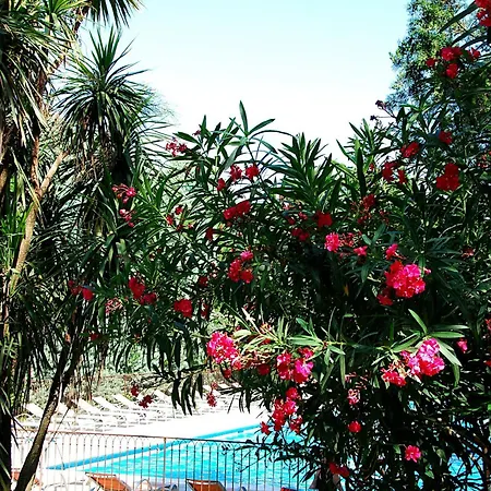 Hotel Les Mazets Des Roches-3