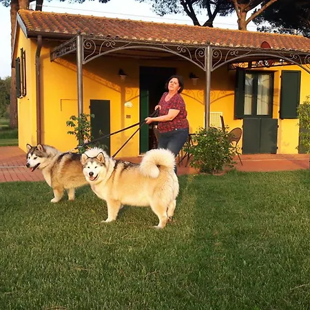 La Fattoria Di Tirrenia-3