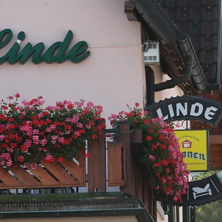 Hotel Zur Linde-3