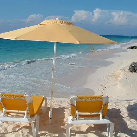 Coco Reef Bermuda-3