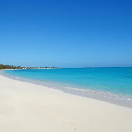 Paradise Bay Bahamas-3