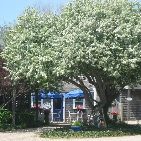 Ship'S Knees Inn-3